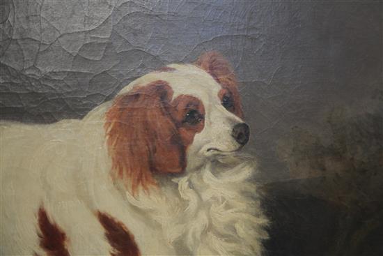 Henry Bernard Chalon (1770-1849) Portrait of a King Charles Spaniel standing in a landscape 27.5 x 35in.